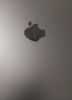 Seller Thumbnail